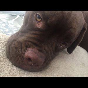 Meet your Posher, Deborah